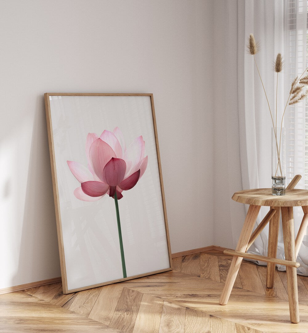 Elegant LOTUS FLOWER, FLORAL FLOWER PAINTINGS bring tranquility and beauty to any space, enhancing your decor.