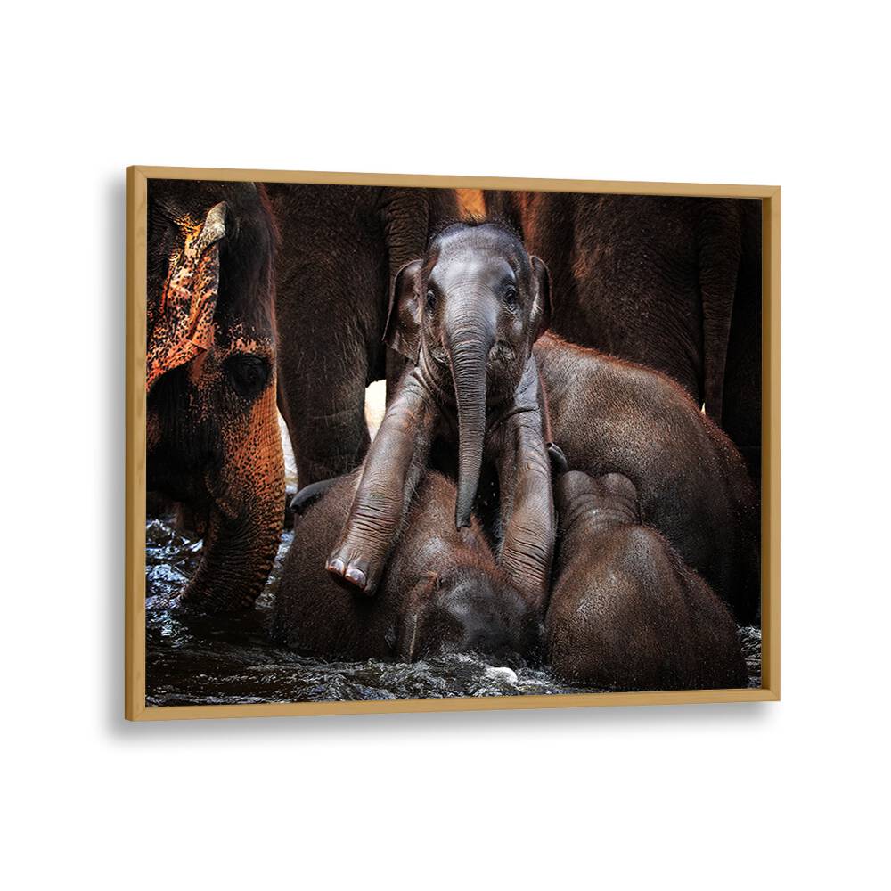 Captivating elephants in water highlight THE LITTLE PRINCE, PHOTOGRAPHY PRINTS, celebrating wildlife's beauty.