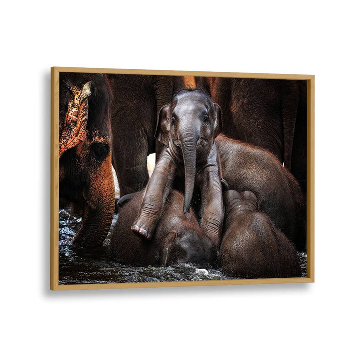 Captivating elephants in water highlight THE LITTLE PRINCE, PHOTOGRAPHY PRINTS, celebrating wildlife's beauty.