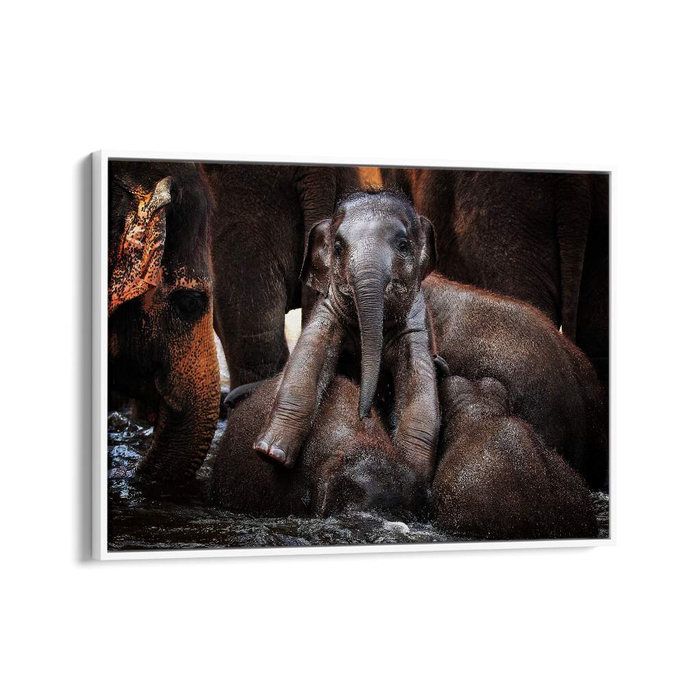Elegant elephants playfully interact in this enchanting scene from THE LITTLE PRINCE, PHOTOGRAPHY PRINTS collection.