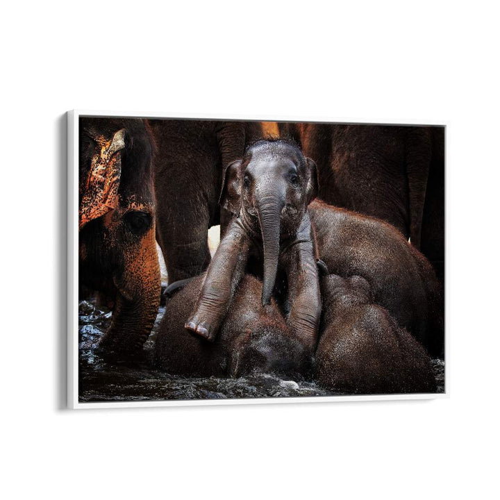 Elegant elephants playfully interact in this enchanting scene from THE LITTLE PRINCE, PHOTOGRAPHY PRINTS collection.