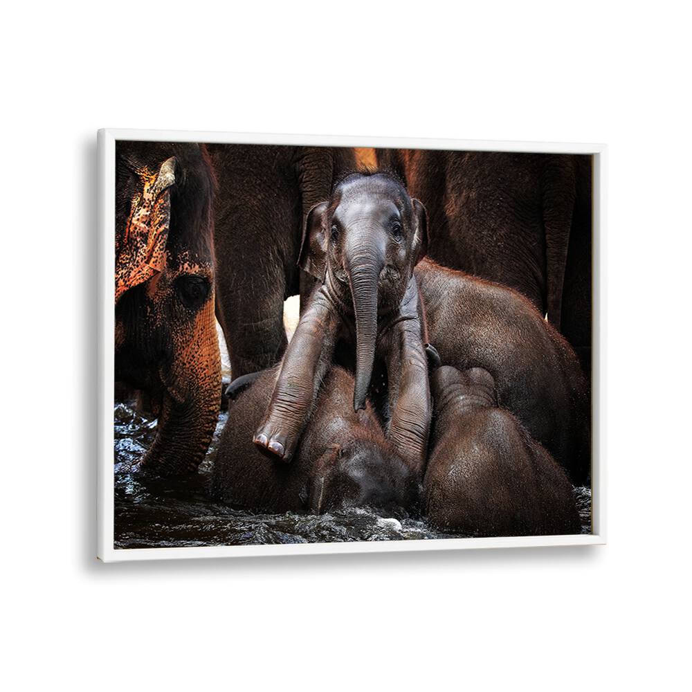 Adorable elephants playfully interact in this enchanting print from THE LITTLE PRINCE, PHOTOGRAPHY PRINTS collection.