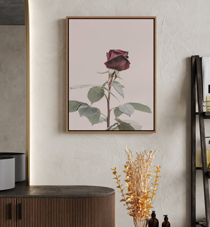 Elegant ROSE, FLORAL FLOWER PAINTINGS displayed in stylish decor, perfect for enhancing your home atmosphere.