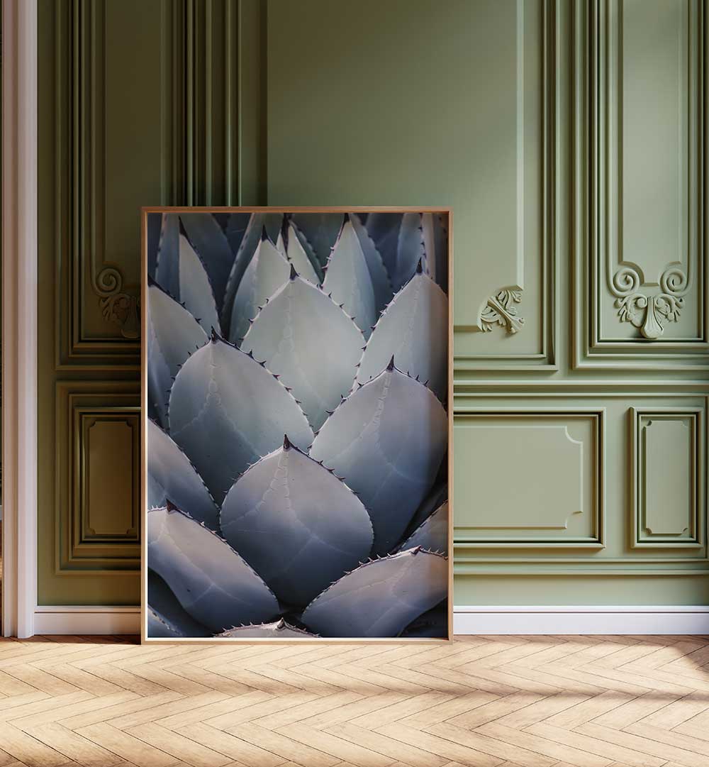 Framed agave close-up art in ornate room — AGAVE GEOMETRY , FLORAL FLOWER PAINTINGS