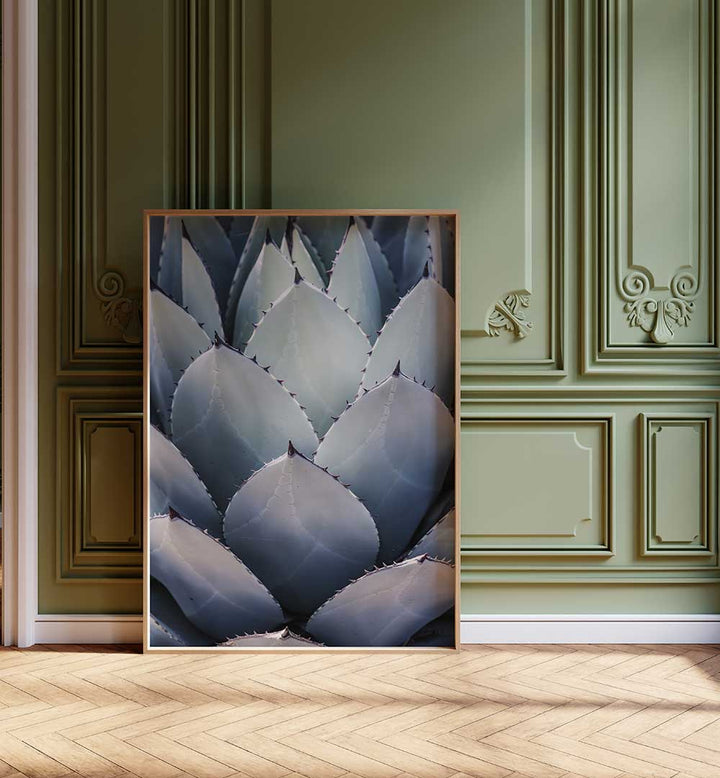 Framed agave close-up art in ornate room — AGAVE GEOMETRY , FLORAL FLOWER PAINTINGS