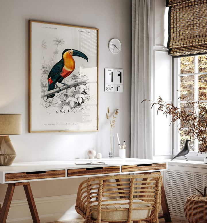 TOUCAN  , ANIMAL PAINTINGS