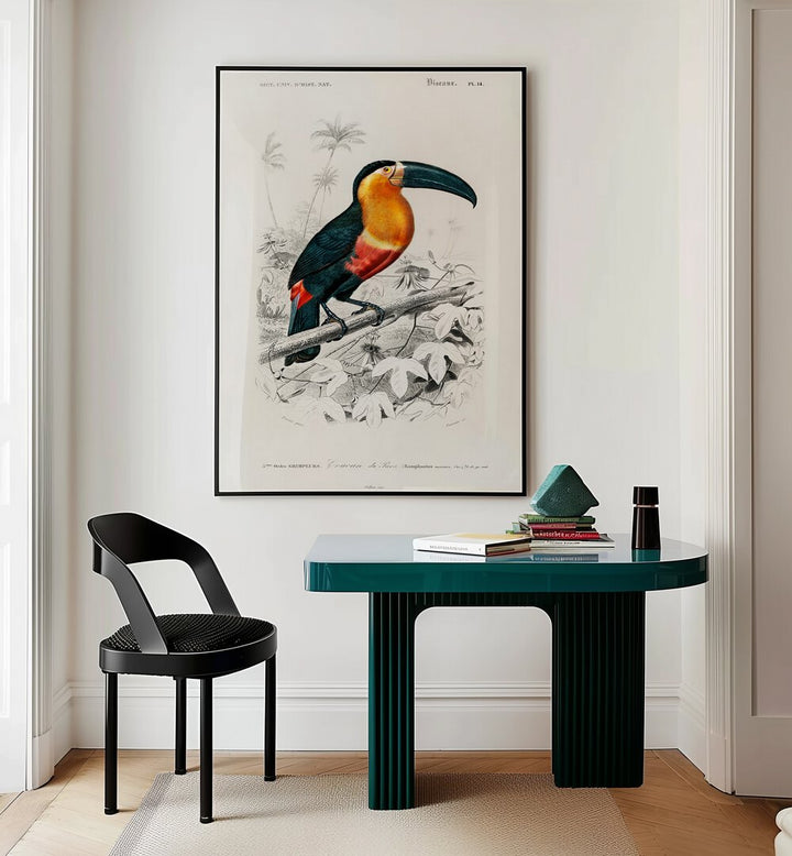TOUCAN  , ANIMAL PAINTINGS