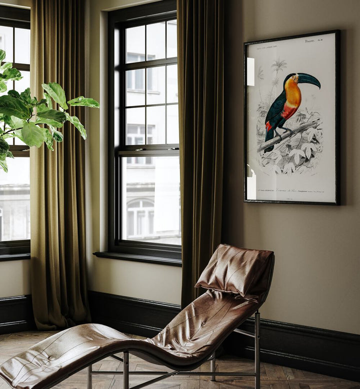 TOUCAN  , ANIMAL PAINTINGS