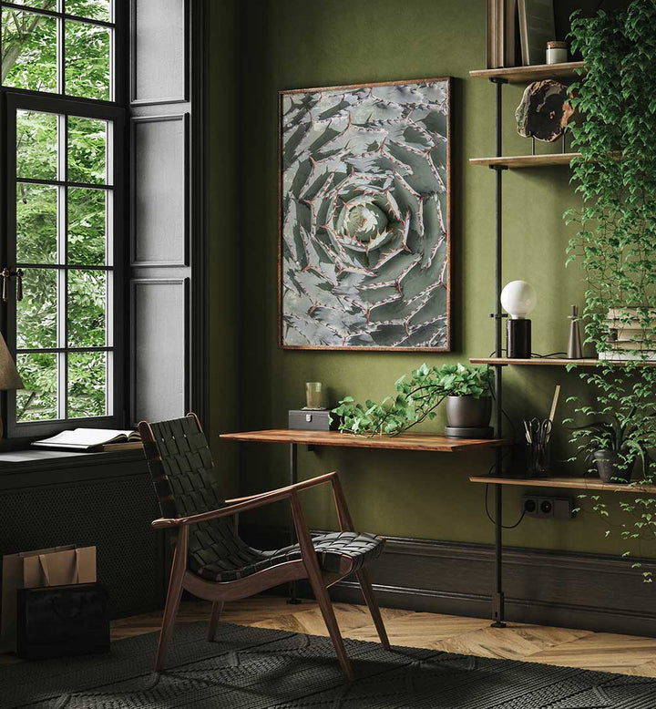 Framed spiral succulent artwork on green wall beside window, SPIRAL SUCCULENT MAZE , FLORAL FLOWER PAINTINGS