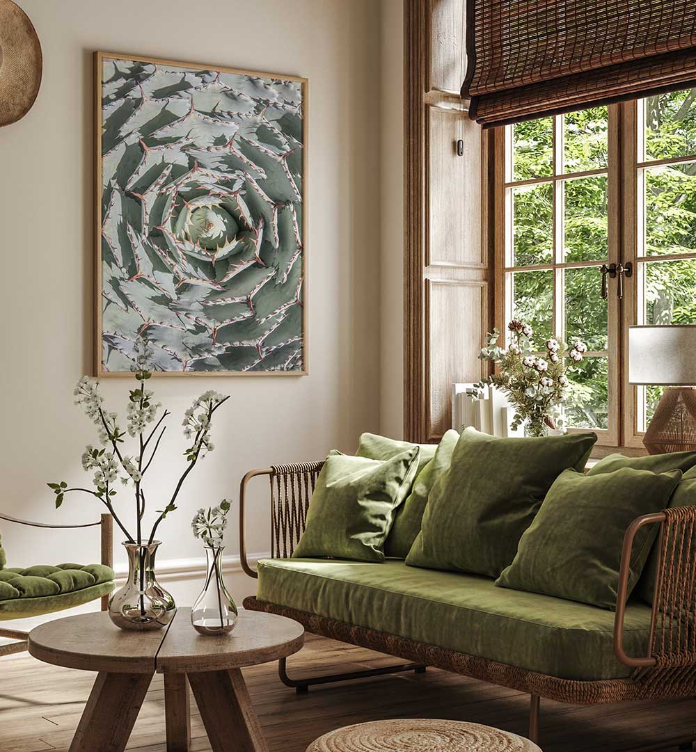 SPIRAL SUCCULENT MAZE , FLORAL FLOWER PAINTINGS framed above green sofa in sunlit room