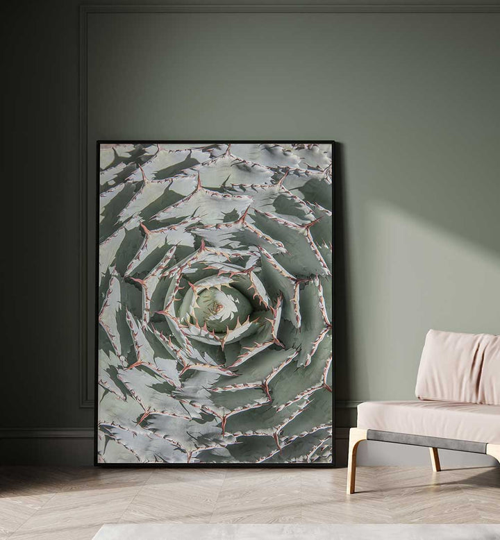 SPIRAL SUCCULENT MAZE , FLORAL FLOWER PAINTINGS framed succulent spiral canvas leaning against muted green living room wall