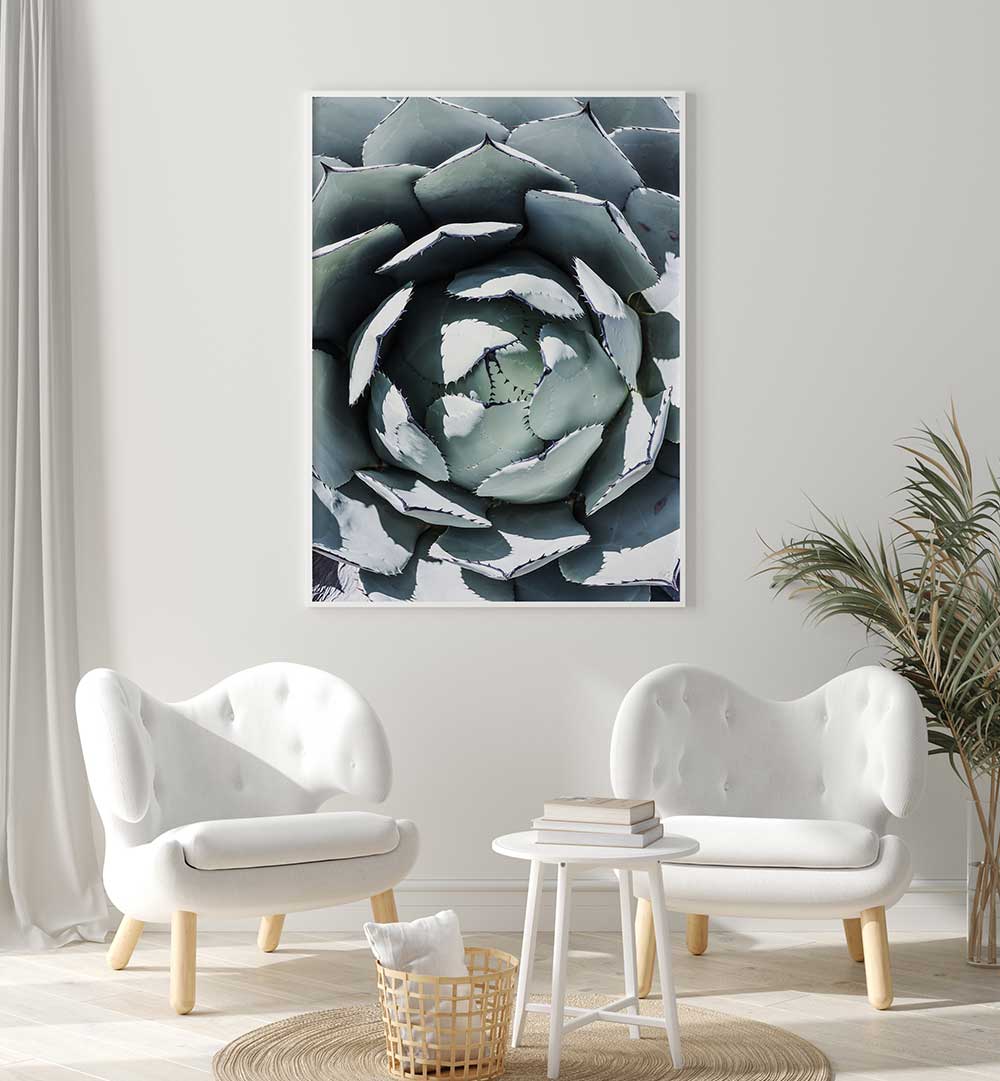 Framed agave wall art AGAVE SPIRAL DANCE , FLORAL FLOWER PAINTINGS in minimalist living room setting
