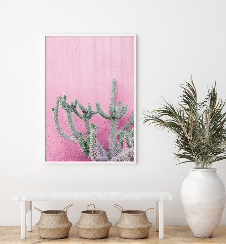 Brighten your space with CACTUS ON PINK, FLORAL FLOWER PAINTINGS, featuring a vibrant cactus against a soft pink backdrop.