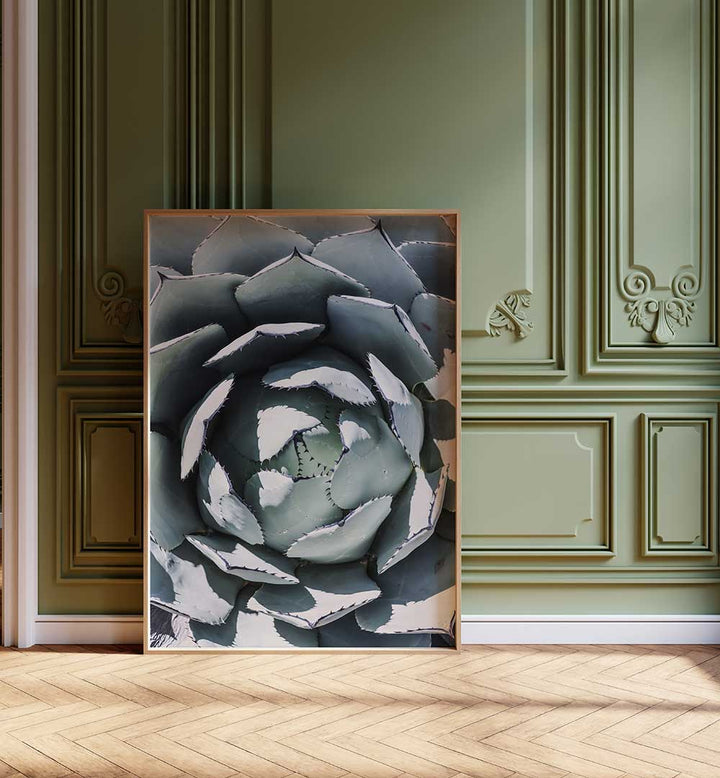 AGAVE SPIRAL DANCE , FLORAL FLOWER PAINTINGS showcasing a close-up agave spiral artwork leaning against green paneled wall