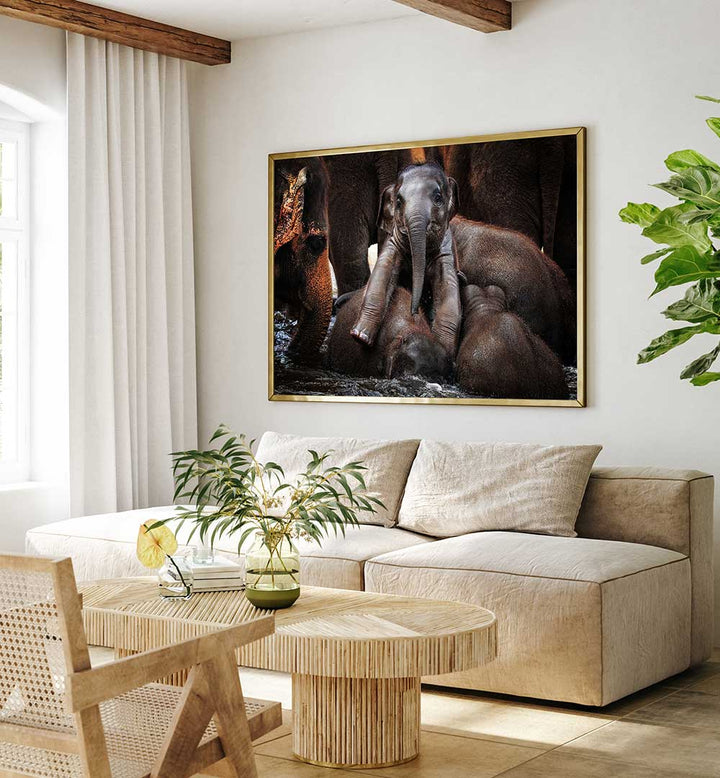 THE LITTLE PRINCE , PHOTOGRAPHY PRINTS