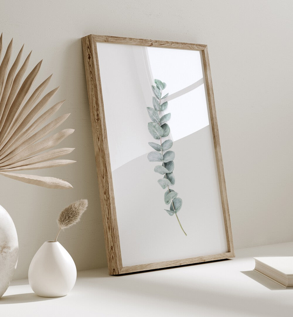 EUCALYPTUS II, FLORAL FLOWER PAINTINGS showcase delicate eucalyptus leaves in a stylish frame, enhancing your decor.