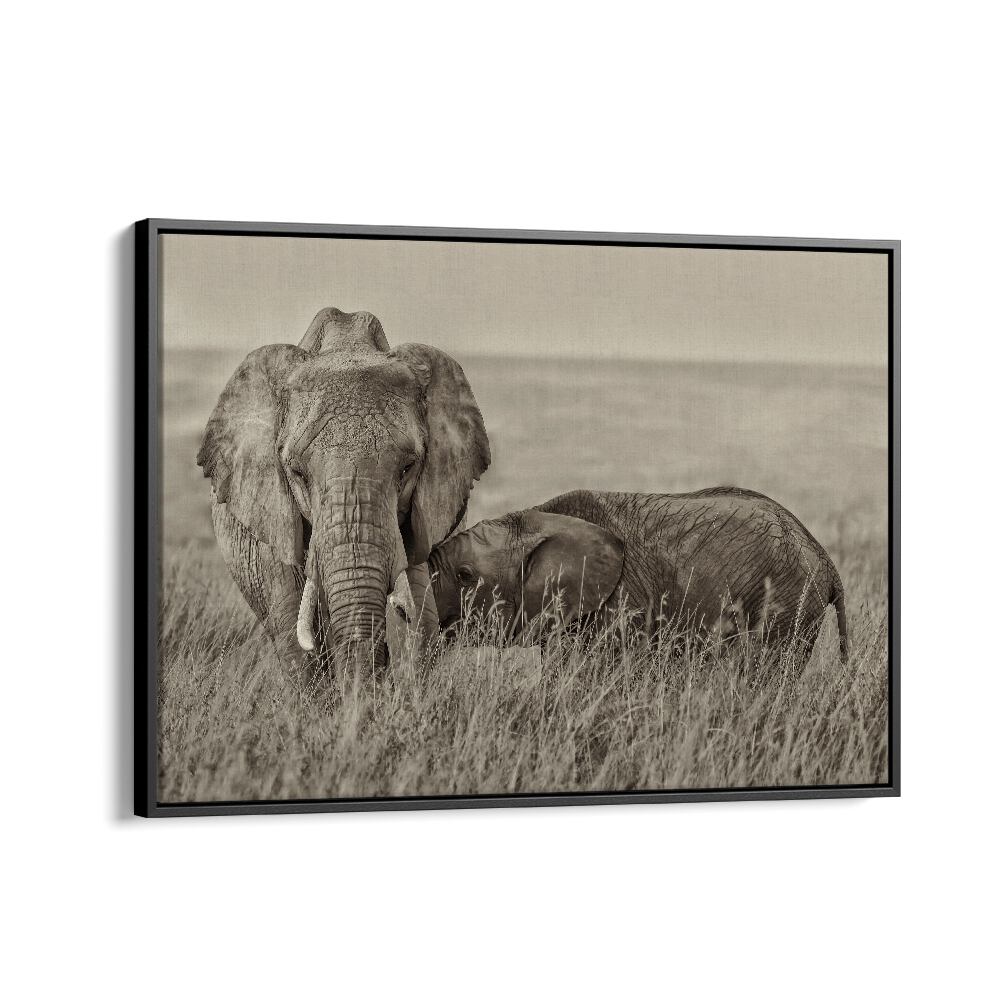 Elegant snuggling elephants captured in stunning detail, perfect for your wildlife photography prints collection.