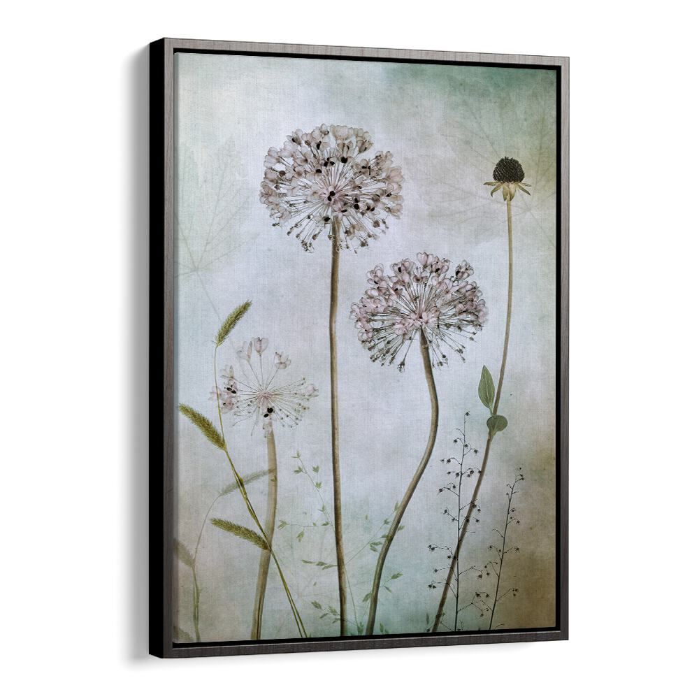 Elegant ALLIUM, FLORAL FLOWER PAINTINGS enhance home decor with sophistication and charm. Perfect for any room.