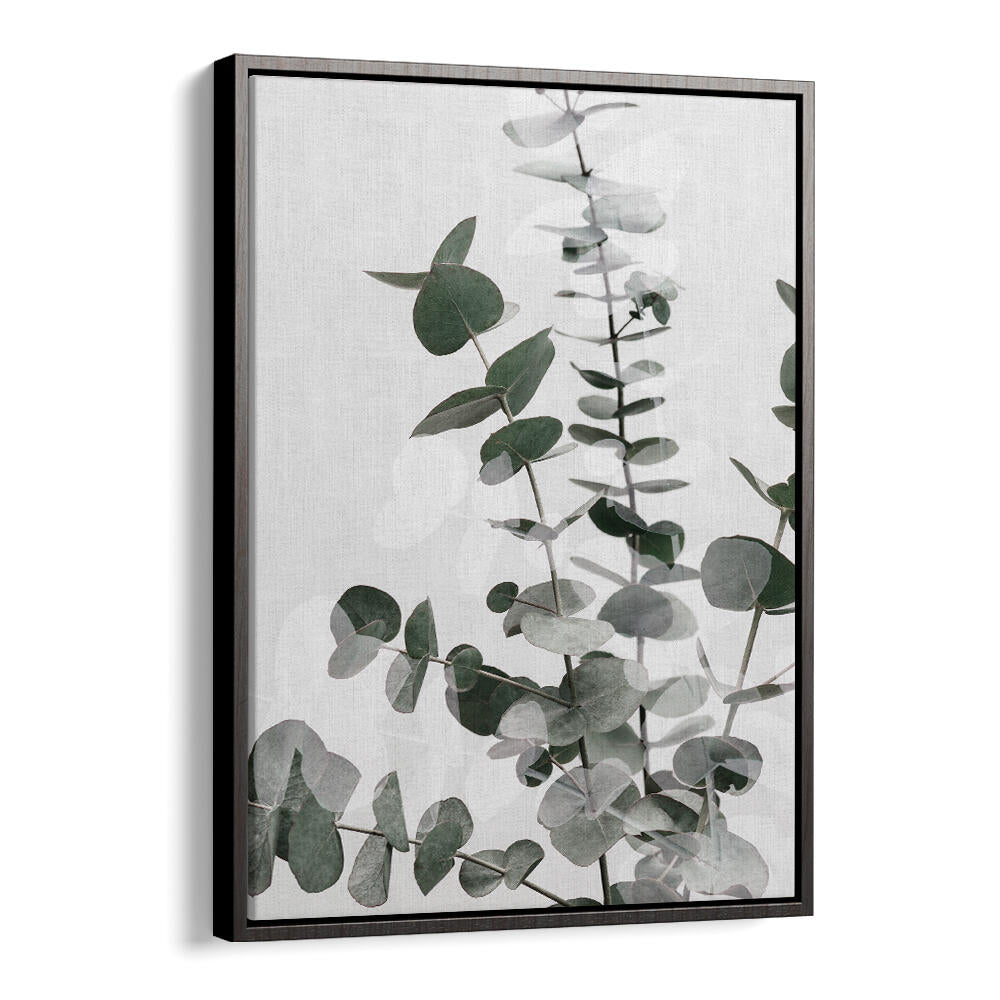EUCALYPTUS CREATIVE VI, FLORAL FLOWER PAINTINGS showcase delicate eucalyptus leaves, perfect for enhancing any space.