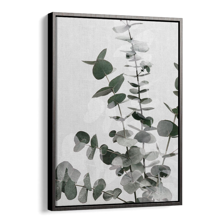 EUCALYPTUS CREATIVE VI, FLORAL FLOWER PAINTINGS showcase delicate eucalyptus leaves, perfect for enhancing any space.