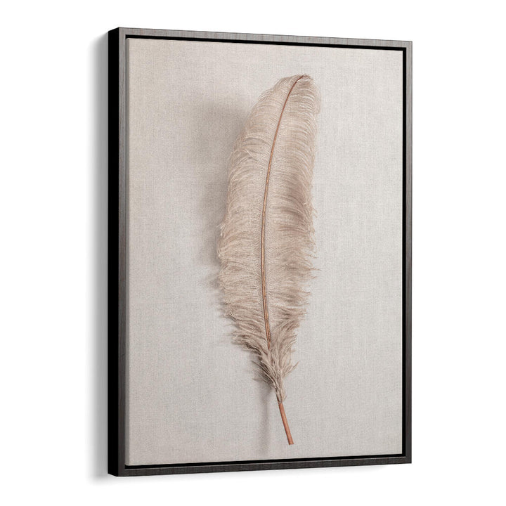 Elegant FEATHER II, BOHO ART PAINTINGS enhance your space with contemporary and bohemian design. Perfect for any decor.