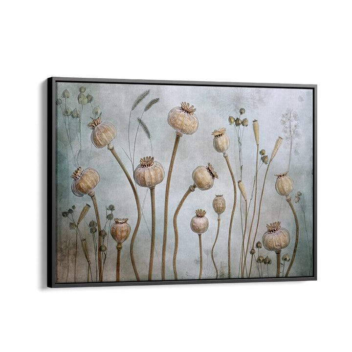 Elegant PAPAVER, FLORAL FLOWER PAINTINGS featuring unique floral designs, perfect for enhancing home decor.