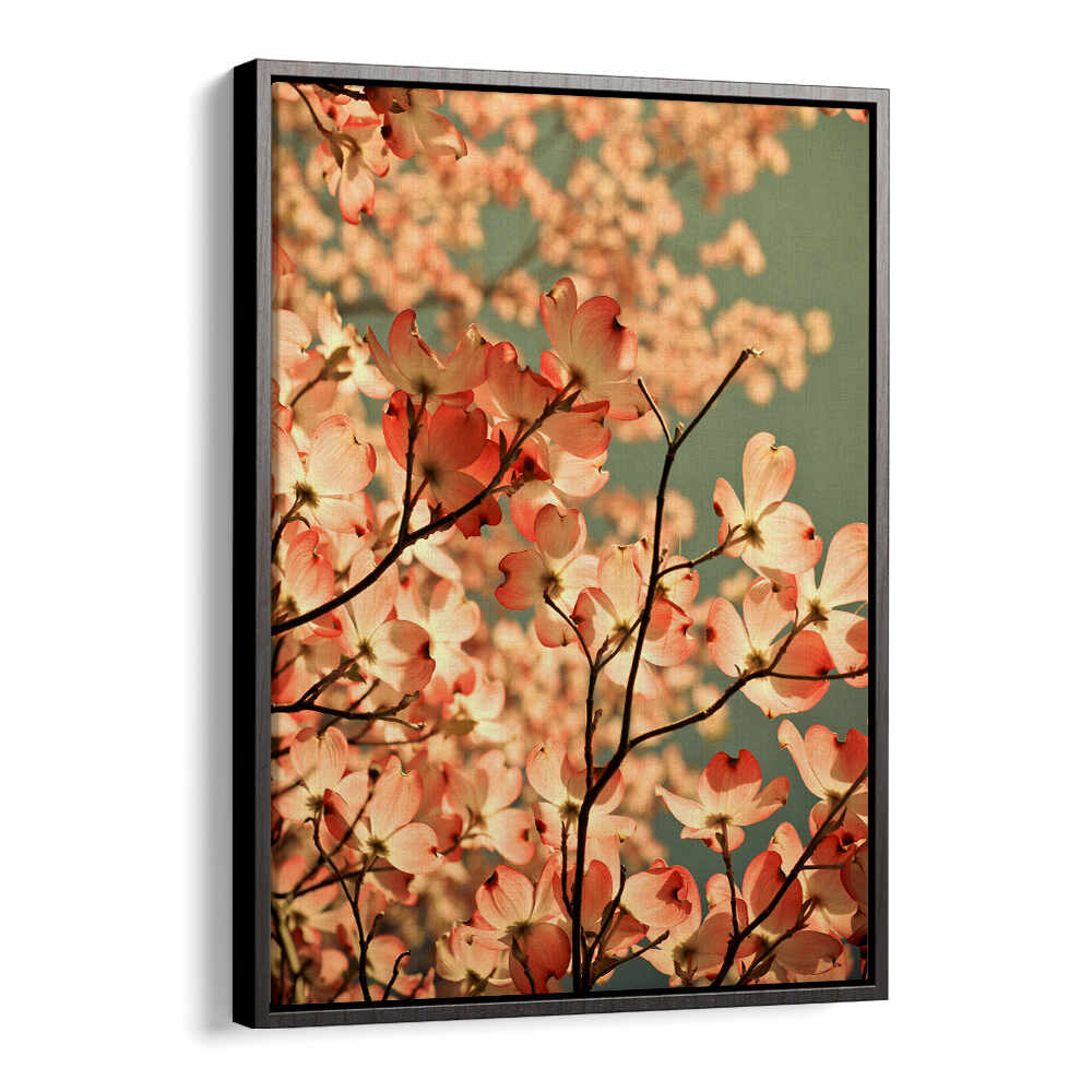 BLOSSOMS AFLOAT , FLORAL FLOWER PAINTINGS