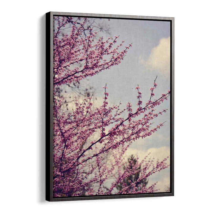 SPRING PHOTOGRAPH , FLORAL FLOWER PAINTINGS