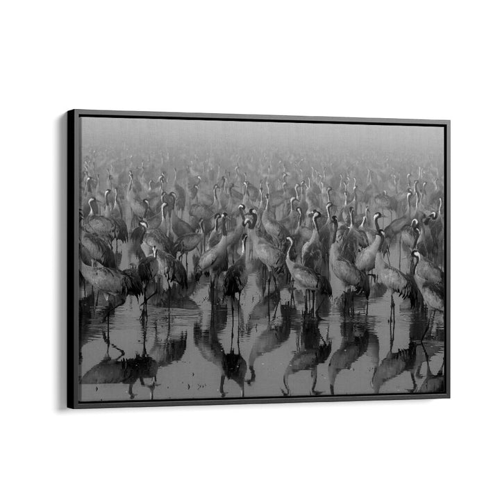 CROSSPOINT, PHOTOGRAPHY PRINTS showcase elegant cranes reflecting in tranquil waters for dynamic wall art.