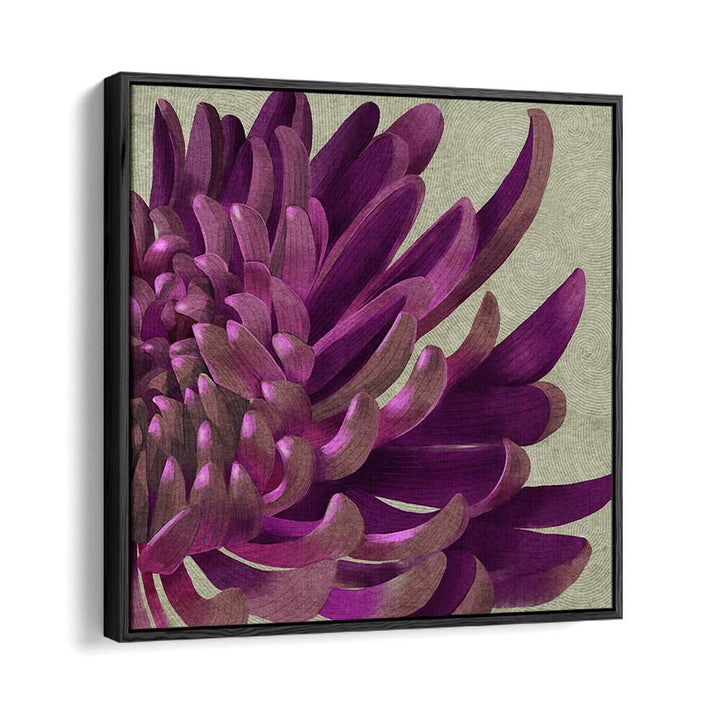 Vibrant CHRYSANTHEMUM PURPLE, FLORAL FLOWER PAINTINGS adding elegance to your space with deep purple hues.