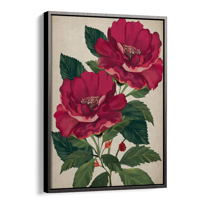 Vibrant ROSE OF PROVIDENCE, FLORAL FLOWER PAINTINGS enhancing elegance and beauty in any space. Perfect for gifts!