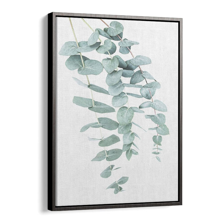 EUCALYPTUS I, FLORAL FLOWER PAINTINGS showcase elegant eucalyptus leaves, perfect for enhancing your living space.