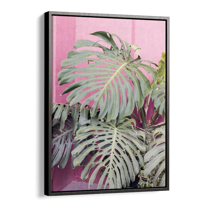 Stunning MONSTERA LEAF LA MURALLA, FLORAL FLOWER PAINTINGS, perfect for adding tropical beauty to your decor.