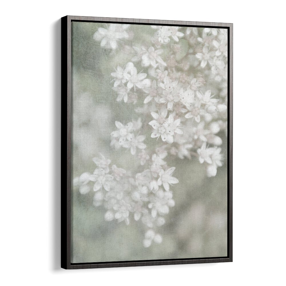 FADING, FLORAL FLOWER PAINTINGS showcase delicate white blooms, adding elegance to any decor style. Perfect for art lovers.
