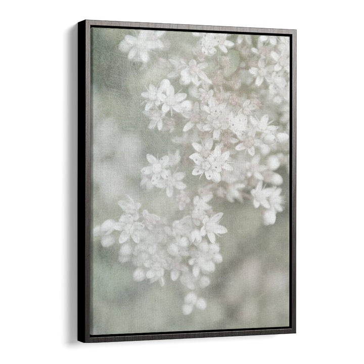 FADING, FLORAL FLOWER PAINTINGS showcase delicate white blooms, adding elegance to any decor style. Perfect for art lovers.