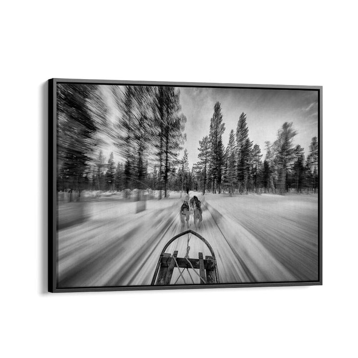 Dynamic dogsledding action captured in fine art photography prints, showcasing the thrill of the sport.