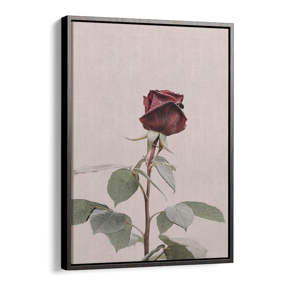 Elegant ROSE, FLORAL FLOWER PAINTINGS showcase beauty and charm, perfect for enhancing home decor.