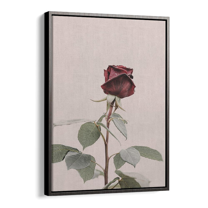 Elegant ROSE, FLORAL FLOWER PAINTINGS showcase beauty and charm, perfect for enhancing home decor.