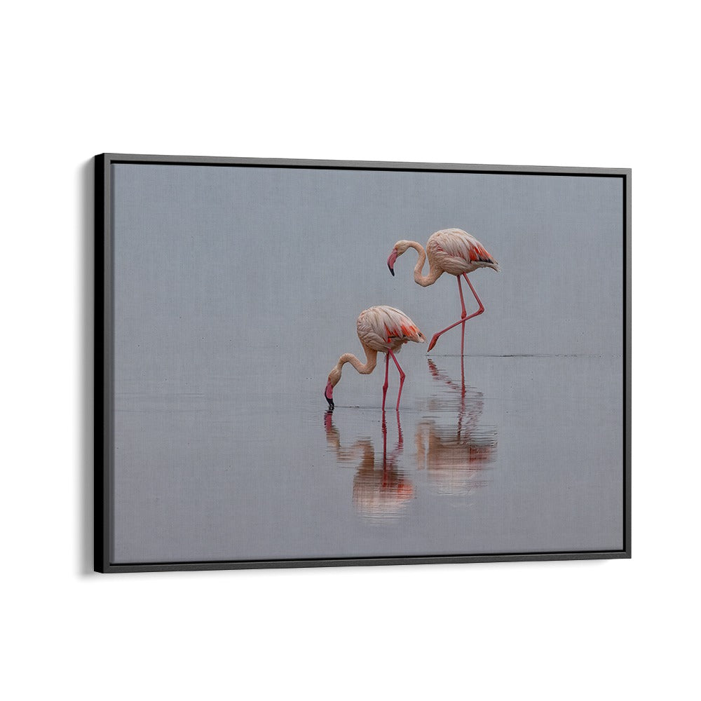 Graceful flamingos reflected in serene waters, perfect for your home decor. Shop FLAMINGOS, PHOTOGRAPHY PRINTS now!