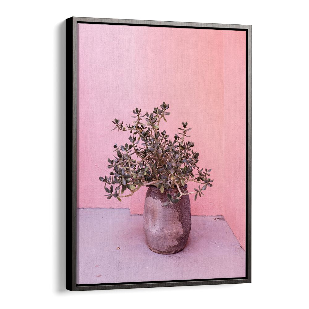 SPANISH RUSTIC SUCCULENT, FLORAL FLOWER PAINTINGS enhance any space with vibrant colors and stunning natural beauty.