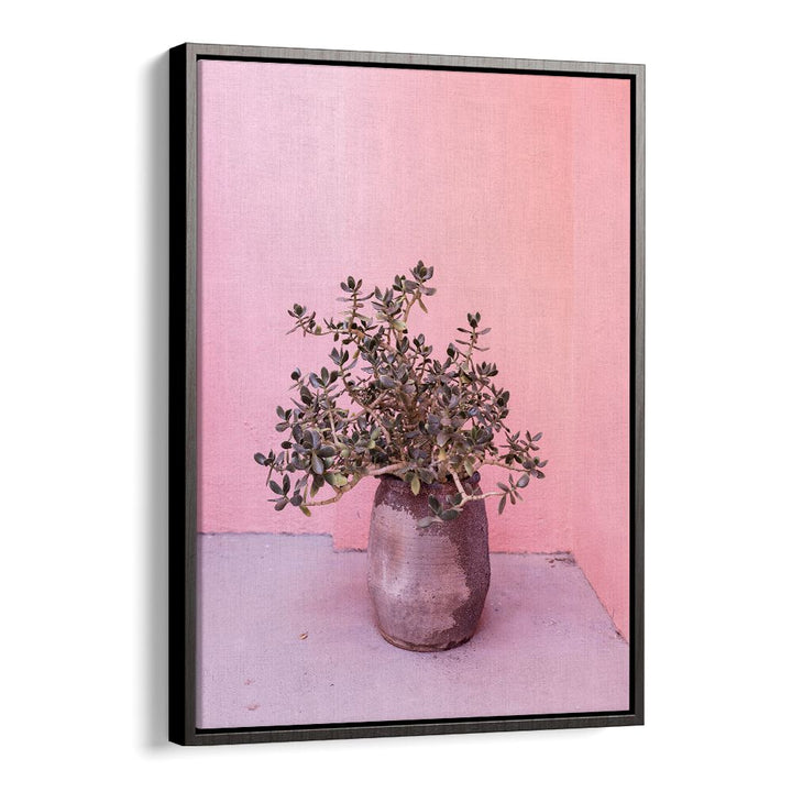 SPANISH RUSTIC SUCCULENT, FLORAL FLOWER PAINTINGS enhance any space with vibrant colors and stunning natural beauty.