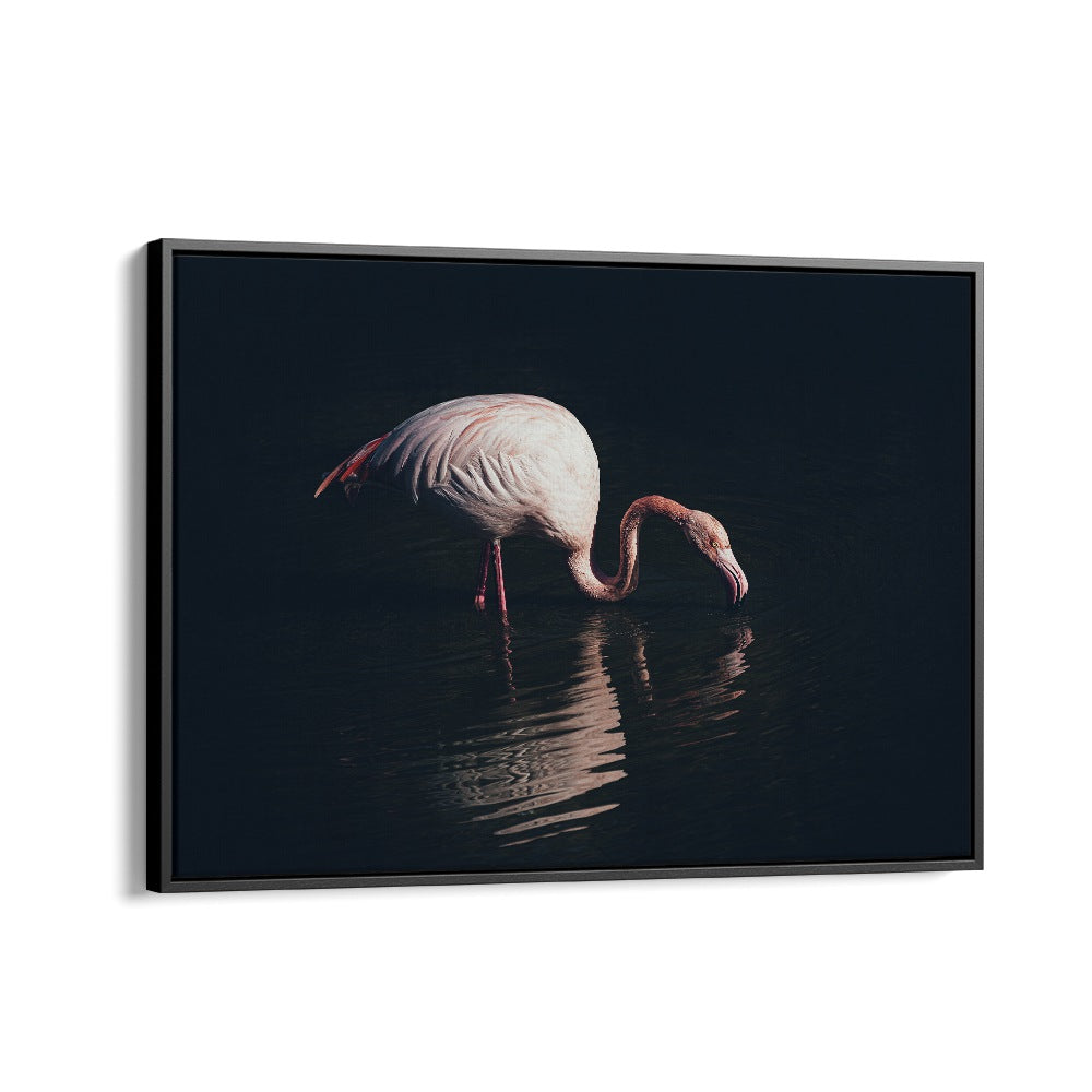 Elegant ENLIGHTED FLAMINGO, PHOTOGRAPHY PRINTS capture a serene flamingo reflecting in dark waters, perfect for art lovers.