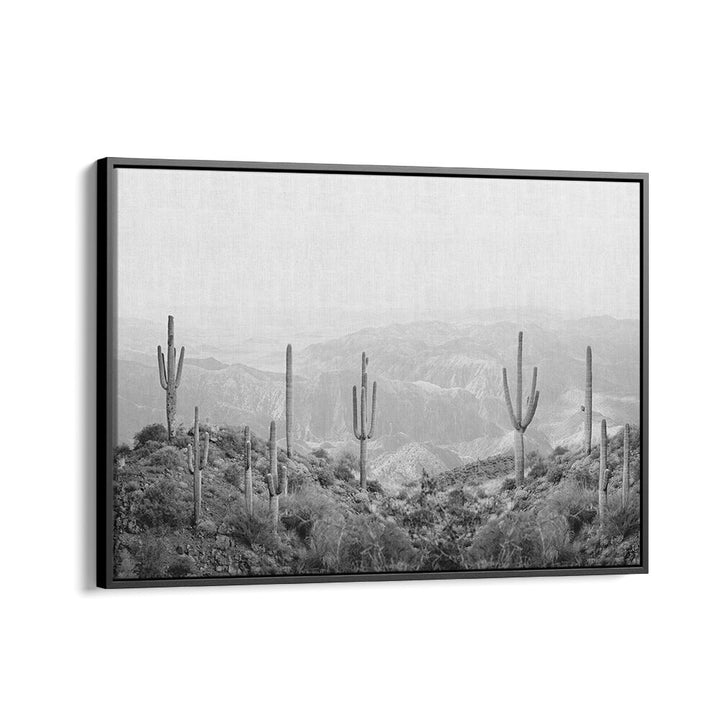 Stunning black and white artwork featuring the WESTERN CACTUS, COWBOY style, perfect for any modern decor.