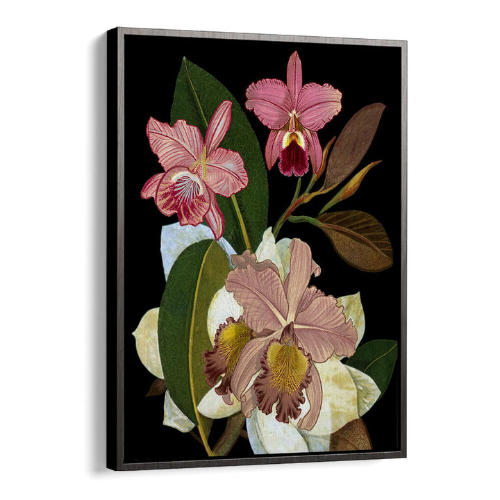Exquisite ORCHIDS II, FLORAL FLOWER PAINTINGS, showcasing elegant blooms and lush leaves for serene home decor.