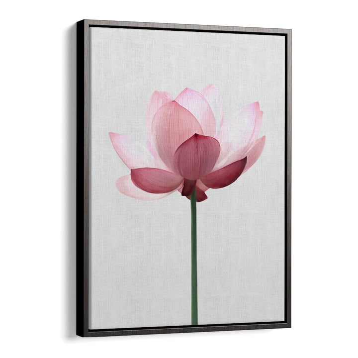 Elegant LOTUS FLOWER, FLORAL FLOWER PAINTINGS adding tranquility and beauty to your home or workspace decor.