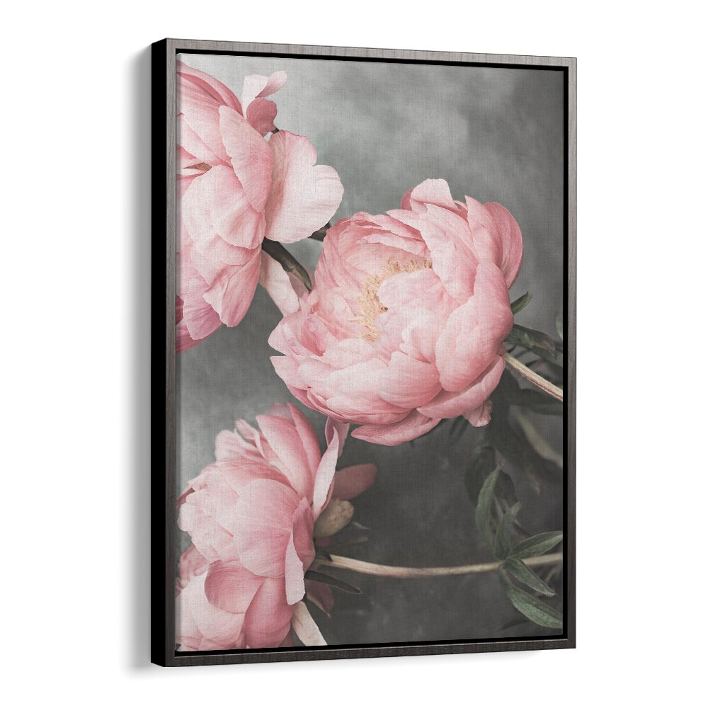 Elegant ROSE II, FLORAL FLOWER PAINTINGS showcase soft pink blooms, enhancing any space with beauty and charm.
