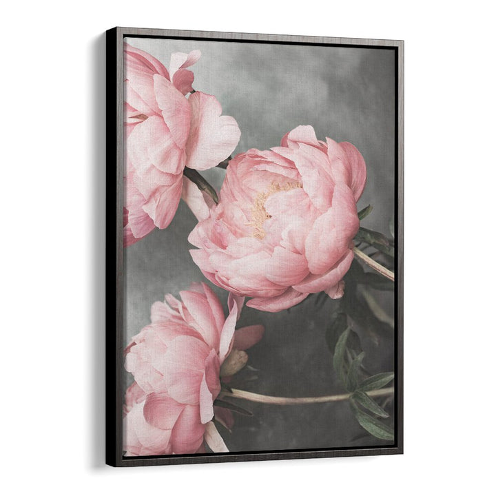 Elegant ROSE II, FLORAL FLOWER PAINTINGS showcase soft pink blooms, enhancing any space with beauty and charm.