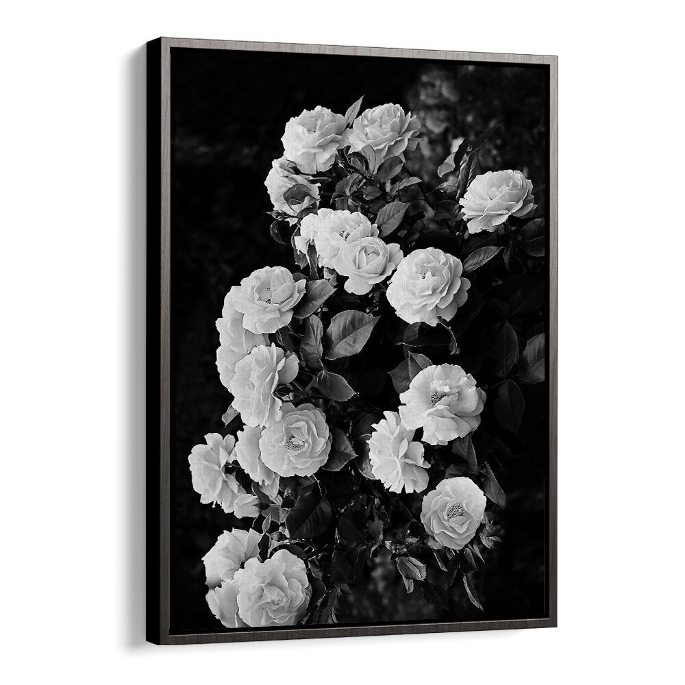 Elegant ROSE BUSH, FLORAL FLOWER PAINTINGS showcasing stunning white blooms, perfect for enhancing garden beauty.