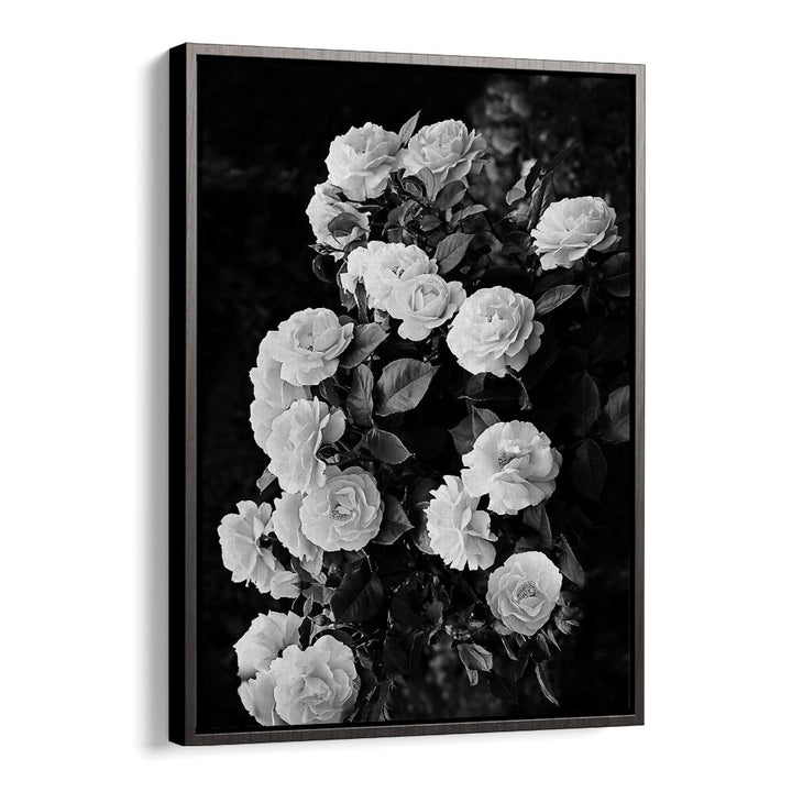 Elegant ROSE BUSH, FLORAL FLOWER PAINTINGS showcasing stunning white blooms, perfect for enhancing garden beauty.