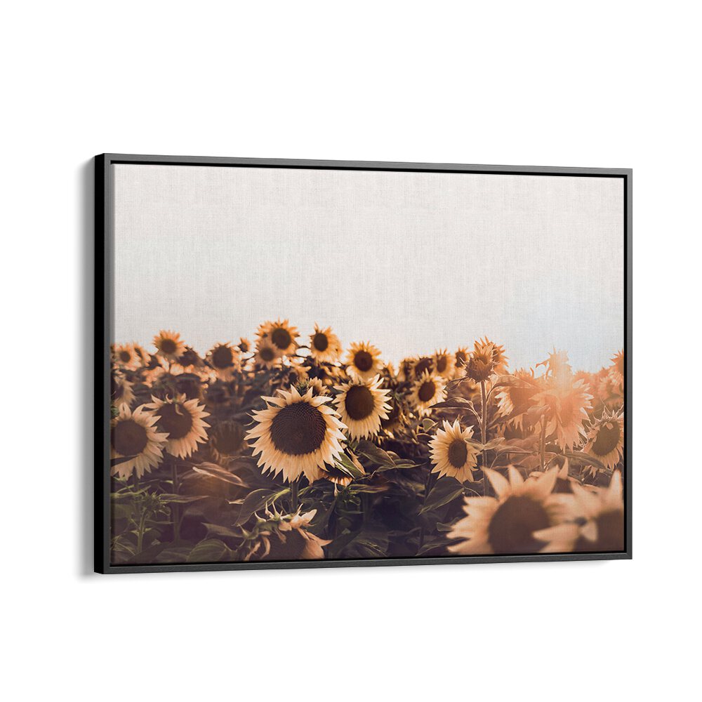 Vibrant SUNFLOWERS II, FLORAL FLOWER PAINTINGS add warmth and positivity to any space, enhancing your home decor.
